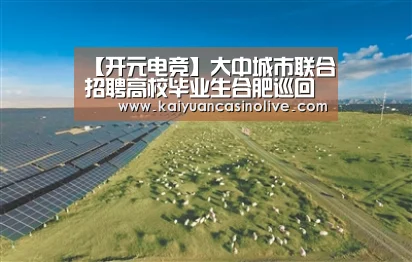 【开元电竞】大中城市联合招聘高校毕业生合肥巡回招聘会将于10月20日举办(图1) 开元体育