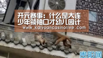 开元赛事:什么是大连少年领袖口才幼儿园计划(图2) 开元体育