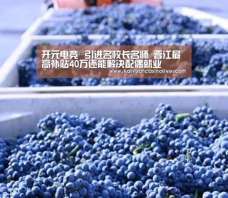 开元电竞-引进名校长名师 晋江最高补贴40万还能解决配偶就业(图1) 开元电竞