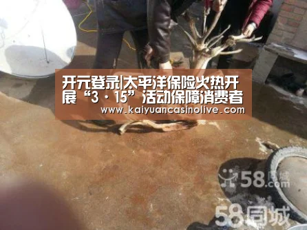 开元登录|太平洋保险火热开展“3·15”活动保障消费者权益(图1) 开元登录