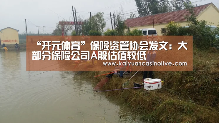 “开元体育”保险资管协会发文:大部分保险公司A股估值较低(图4) 开元登录