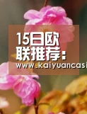 15日欧联推荐:布拉加VS布隆德比“开元电竞”(图1) 开元登录