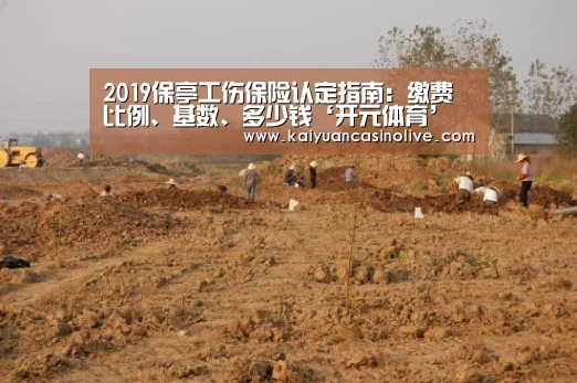 2019保亭工伤保险认定指南:缴费比例、基数、多少钱‘开元体育’(图1) 开元体育