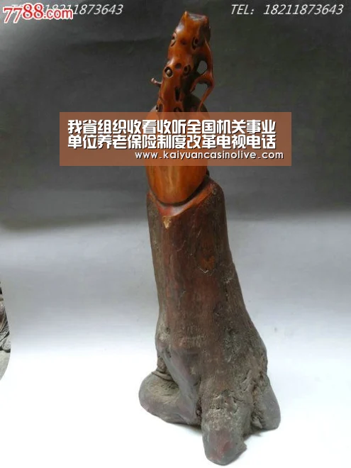 开元赛事