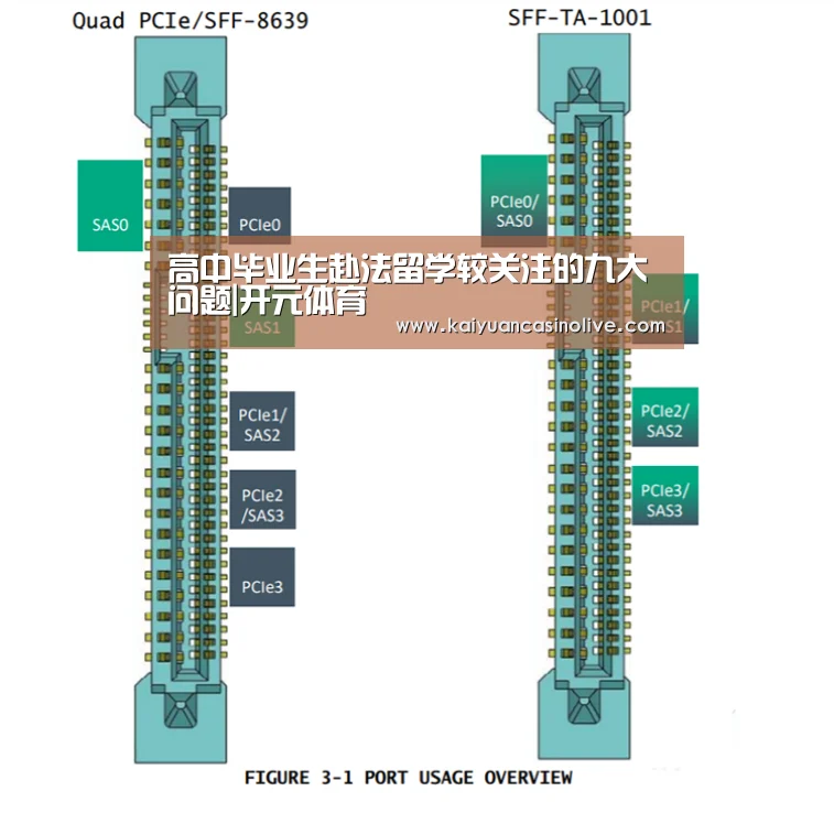 高中毕业生赴法留学较关注的九大问题|开元体育(图2) 开元电竞
