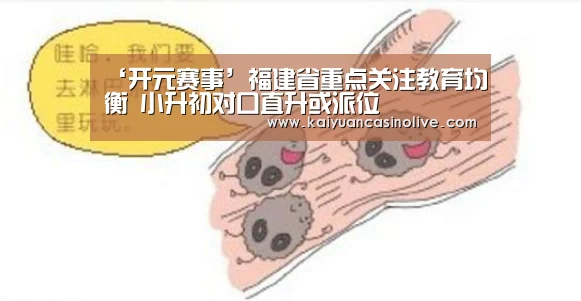 ‘开元赛事’福建省重点关注教育均衡 小升初对口直升或派位(图1) 开元电竞