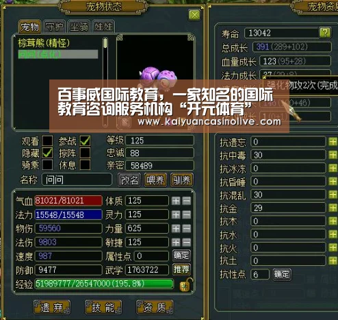 开元赛事