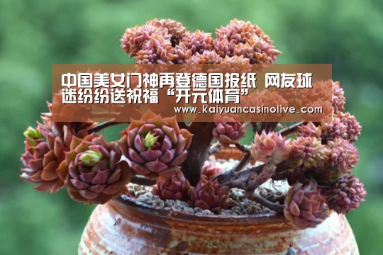 开元登录